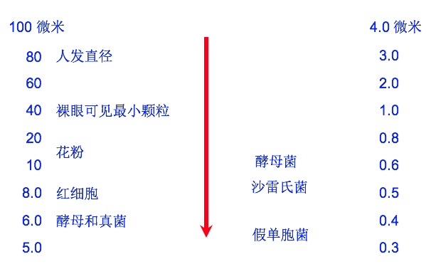 小颗粒的相对尺寸